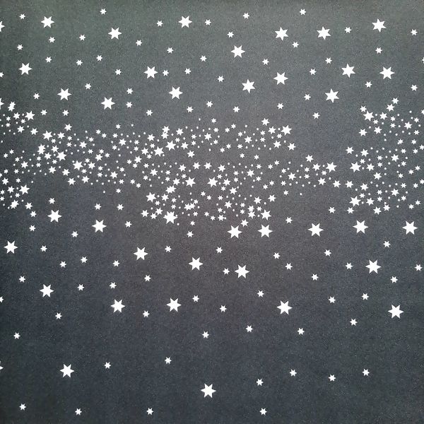 Estampa Oxf Starsb_Delares